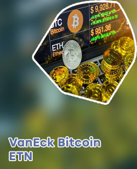 Bitcoin lirs