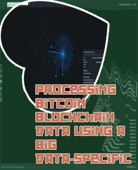 Bitcoin transaction visualizer