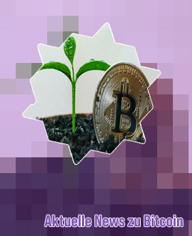 Bitcoin wert zu beginn