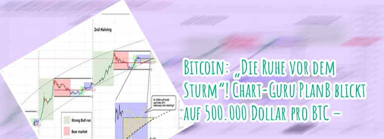 Btc halfing
